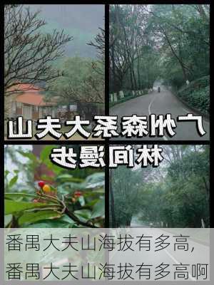 番禺大夫山海拔有多高,番禺大夫山海拔有多高啊