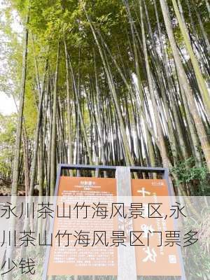 永川茶山竹海风景区,永川茶山竹海风景区门票多少钱