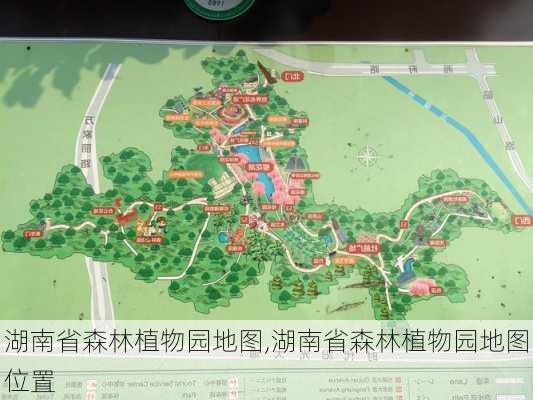 湖南省森林植物园地图,湖南省森林植物园地图位置