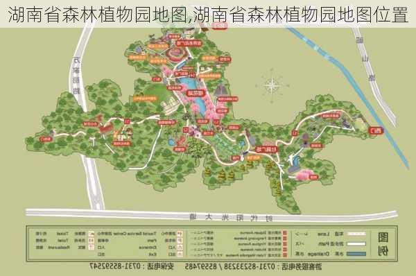 湖南省森林植物园地图,湖南省森林植物园地图位置