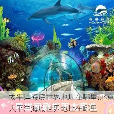 太平洋海底世界地址在哪里,北京太平洋海底世界地址在哪里