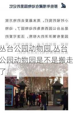 丛台公园动物园,丛台公园动物园是不是搬走了