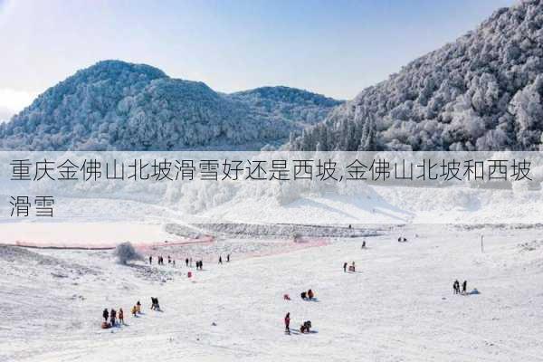 重庆金佛山北坡滑雪好还是西坡,金佛山北坡和西坡滑雪