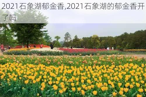 2021石象湖郁金香,2021石象湖的郁金香开了吗