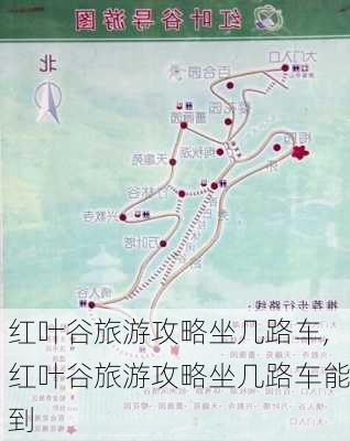 红叶谷旅游攻略坐几路车,红叶谷旅游攻略坐几路车能到