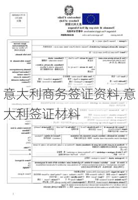 意大利商务签证资料,意大利签证材料