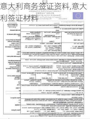 意大利商务签证资料,意大利签证材料