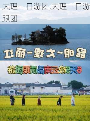 大理一日游团,大理一日游跟团