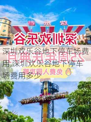 深圳欢乐谷地下停车场费用,深圳欢乐谷地下停车场费用多少