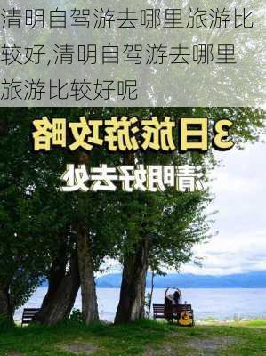 清明自驾游去哪里旅游比较好,清明自驾游去哪里旅游比较好呢