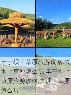 丰宁坝上草原旅游攻略,去坝上草原怎么玩,丰宁坝上草原旅游攻略,去坝上草原怎么玩