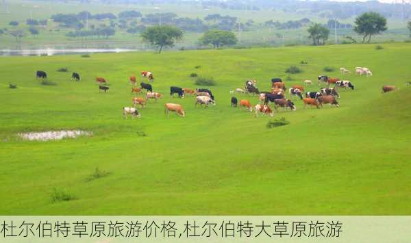 杜尔伯特草原旅游价格,杜尔伯特大草原旅游