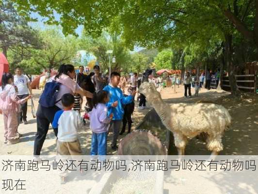 济南跑马岭还有动物吗,济南跑马岭还有动物吗现在