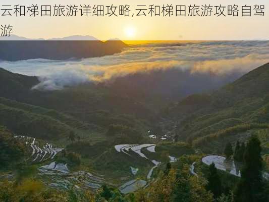 云和梯田旅游详细攻略,云和梯田旅游攻略自驾游