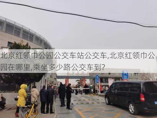 北京红领巾公园公交车站公交车,北京红领巾公园在哪里,乘坐多少路公交车到?