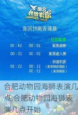 合肥动物园海狮表演几点,合肥动物园海狮表演几点开始