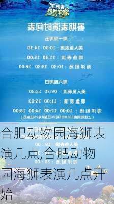 合肥动物园海狮表演几点,合肥动物园海狮表演几点开始