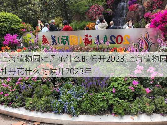 上海植物园牡丹花什么时候开2023,上海植物园牡丹花什么时候开2023年