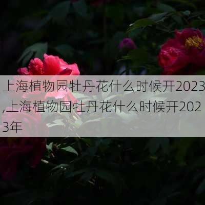 上海植物园牡丹花什么时候开2023,上海植物园牡丹花什么时候开2023年