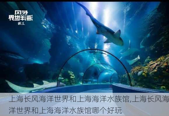 上海长风海洋世界和上海海洋水族馆,上海长风海洋世界和上海海洋水族馆哪个好玩