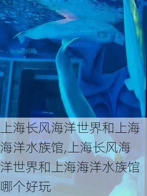 上海长风海洋世界和上海海洋水族馆,上海长风海洋世界和上海海洋水族馆哪个好玩