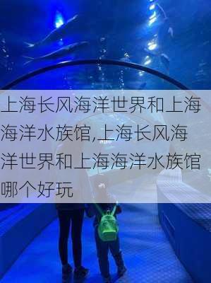 上海长风海洋世界和上海海洋水族馆,上海长风海洋世界和上海海洋水族馆哪个好玩