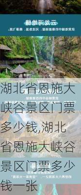 湖北省恩施大峡谷景区门票多少钱,湖北省恩施大峡谷景区门票多少钱一张