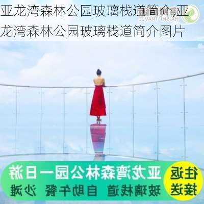 亚龙湾森林公园玻璃栈道简介,亚龙湾森林公园玻璃栈道简介图片