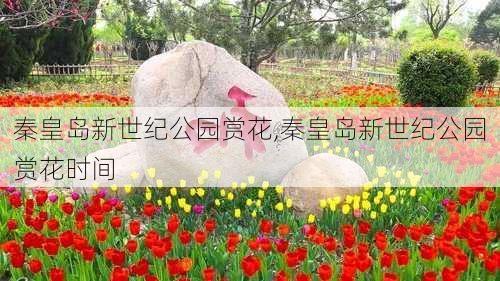 秦皇岛新世纪公园赏花,秦皇岛新世纪公园赏花时间