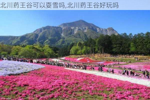 北川药王谷可以耍雪吗,北川药王谷好玩吗