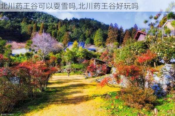 北川药王谷可以耍雪吗,北川药王谷好玩吗