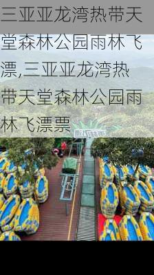 三亚亚龙湾热带天堂森林公园雨林飞漂,三亚亚龙湾热带天堂森林公园雨林飞漂票