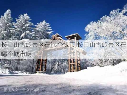 长白山雪岭景区在哪个城市,长白山雪岭景区在哪个城市啊