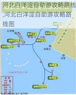 河北白洋淀自助游攻略路线,河北白洋淀自助游攻略路线图