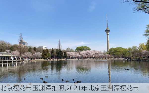 北京樱花节玉渊潭拍照,2021年北京玉渊潭樱花节