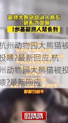 杭州动物园大熊猫被投喂?最新回应,杭州动物园大熊猫被投喂?最新回应