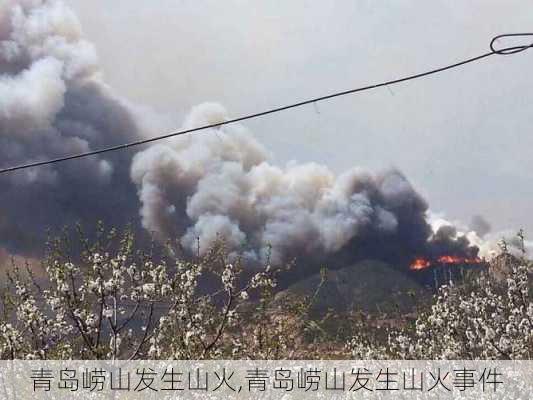 青岛崂山发生山火,青岛崂山发生山火事件