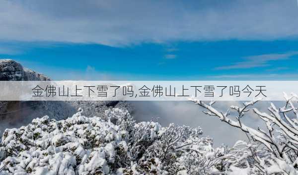 金佛山上下雪了吗,金佛山上下雪了吗今天