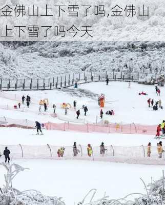 金佛山上下雪了吗,金佛山上下雪了吗今天