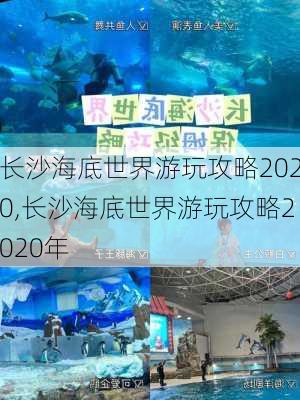 长沙海底世界游玩攻略2020,长沙海底世界游玩攻略2020年