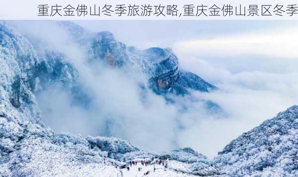 重庆金佛山冬季旅游攻略,重庆金佛山景区冬季