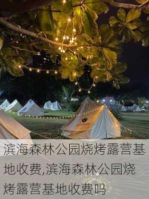 滨海森林公园烧烤露营基地收费,滨海森林公园烧烤露营基地收费吗