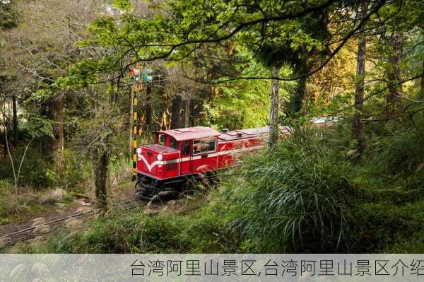 台湾阿里山景区,台湾阿里山景区介绍