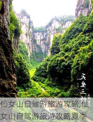 仙女山自驾游旅游攻略,仙女山自驾游旅游攻略夏季