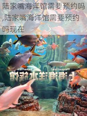 陆家嘴海洋馆需要预约吗,陆家嘴海洋馆需要预约吗现在