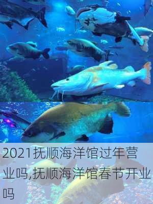 2021抚顺海洋馆过年营业吗,抚顺海洋馆春节开业吗