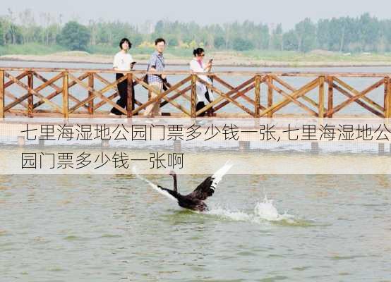 七里海湿地公园门票多少钱一张,七里海湿地公园门票多少钱一张啊