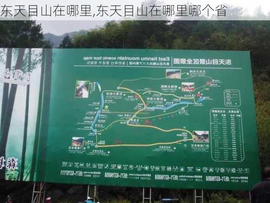 东天目山在哪里,东天目山在哪里哪个省