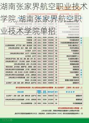 湖南张家界航空职业技术学院,湖南张家界航空职业技术学院单招