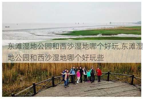 东滩湿地公园和西沙湿地哪个好玩,东滩湿地公园和西沙湿地哪个好玩些